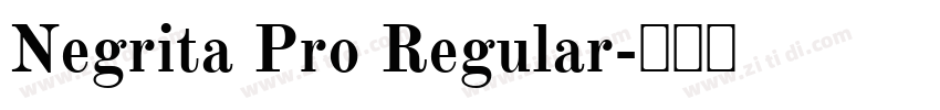 Negrita Pro Regular字体转换
